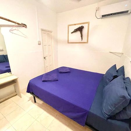 Thulusdhoo Garden Villa Εξωτερικό φωτογραφία